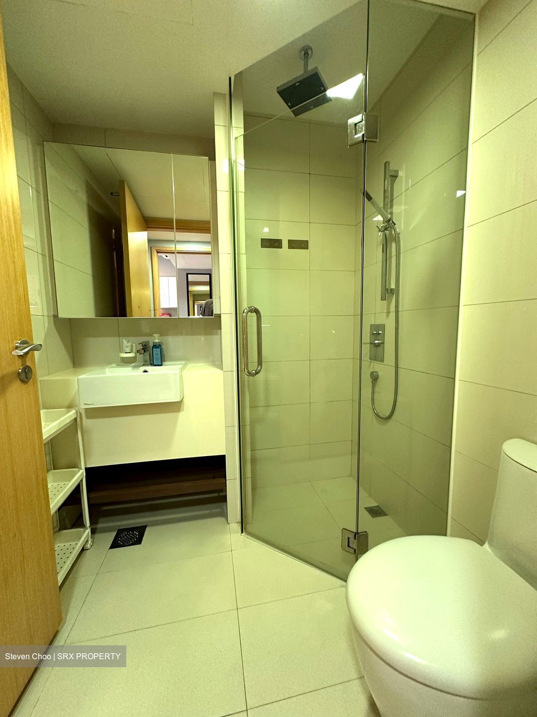 Eight Riversuites (D12), Condominium #504539031